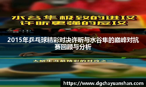 2015年乒乓球精彩对决许昕与水谷隼的巅峰对抗赛回顾与分析
